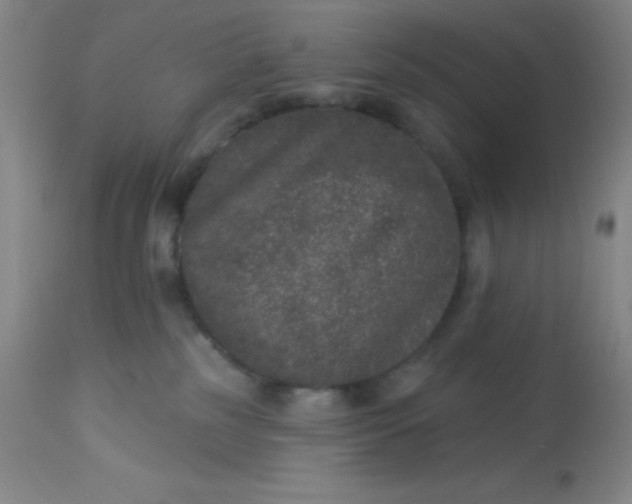 X0000113630185200910091604