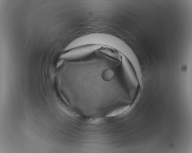 X0000113630186200910091604