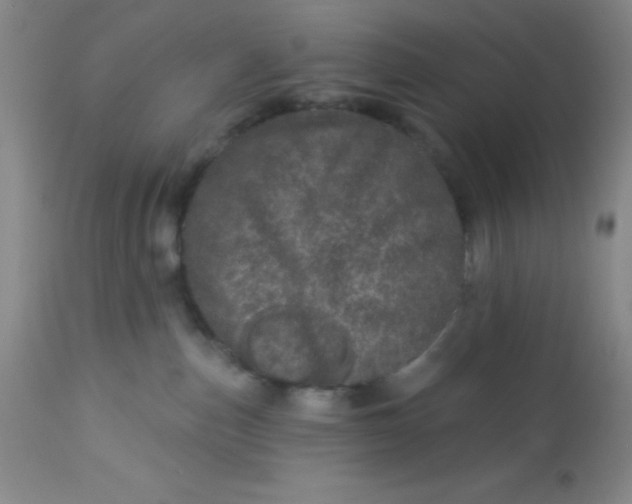 X0000113630187200910091604