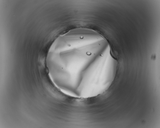 X0000113630188200910091604