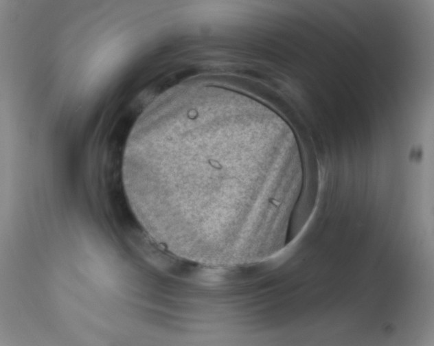 X0000113630190200910091604