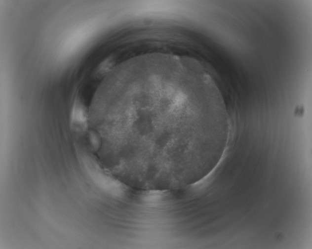 X0000113630191200910091604