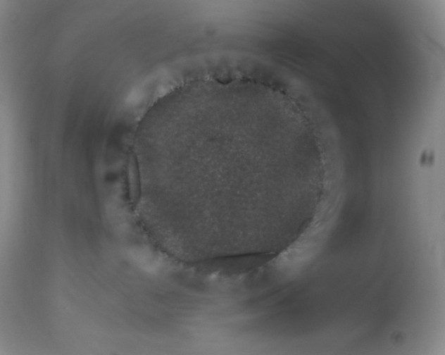 X0000113630192200910091604