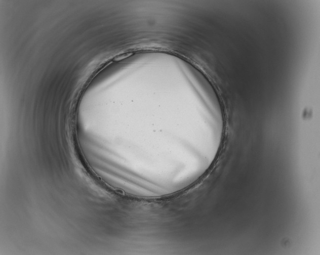 X0000113630193200910091603