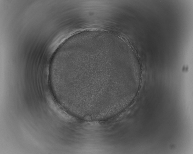 X0000113630194200910091603