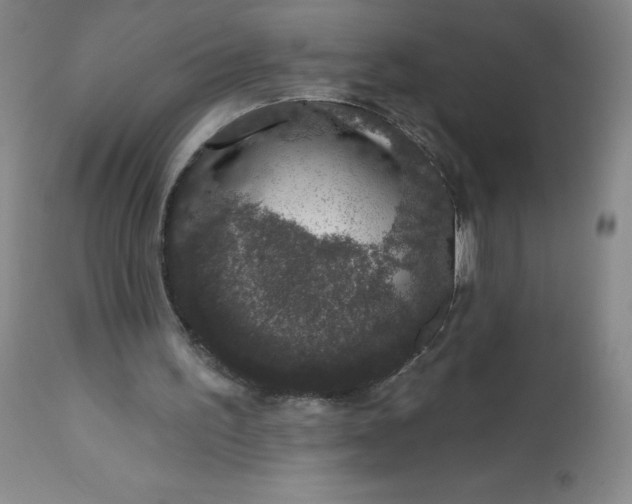 X0000113630195200910091603