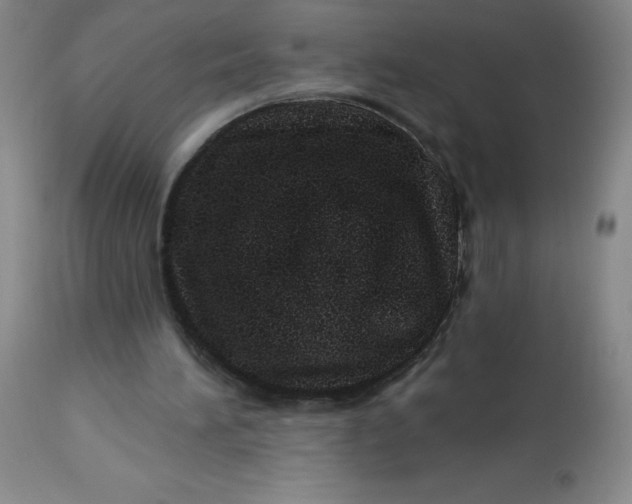 X0000113630196200910091603