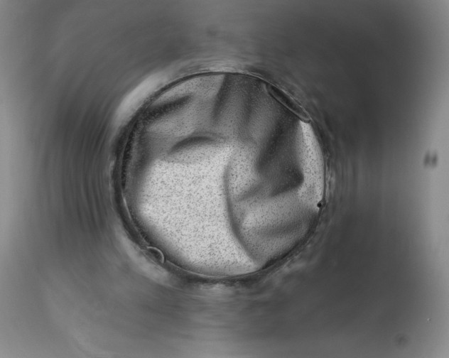 X0000113630197200910091603