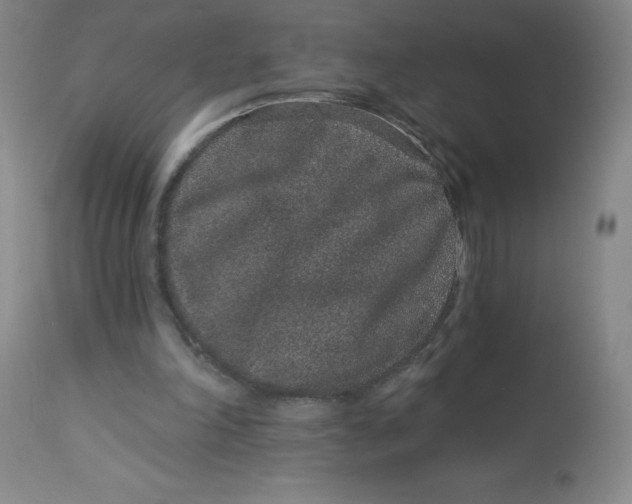 X0000113630198200910091603