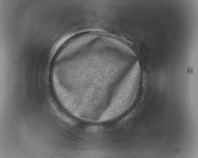 X0000113630200200910091603