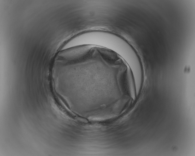 X0000113630201200910091603