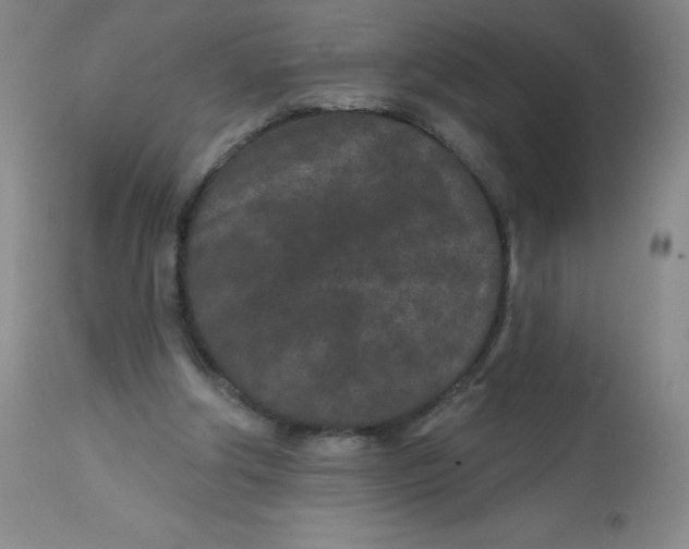 X0000113630202200910091603