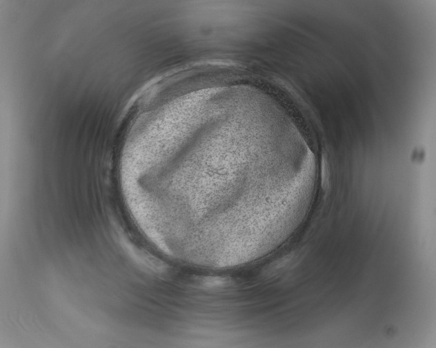 X0000113630204200910091603