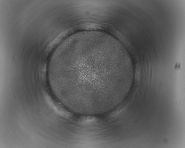 X0000113630206200910091603