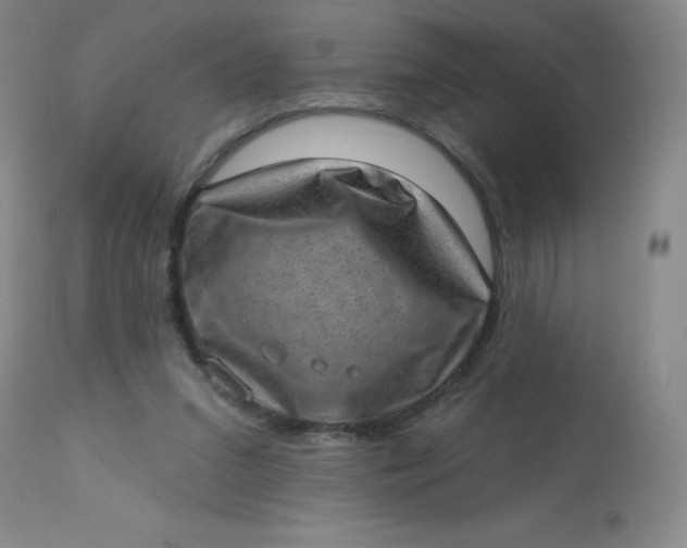 X0000113630207200910091603