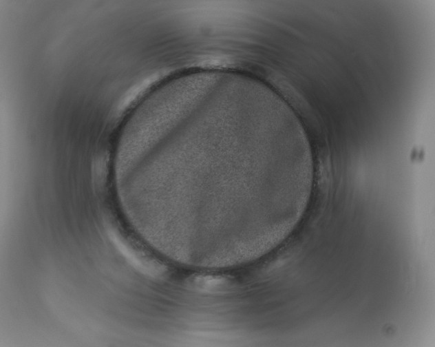 X0000113630208200910091603