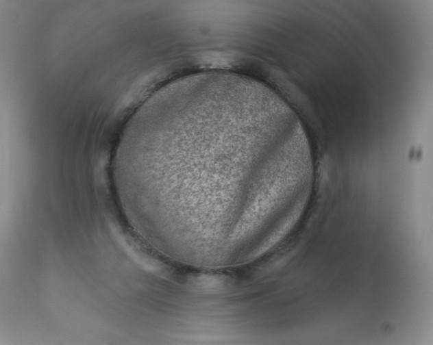 X0000113630209200910091603