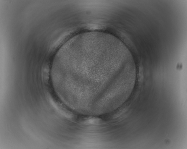 X0000113630210200910091603