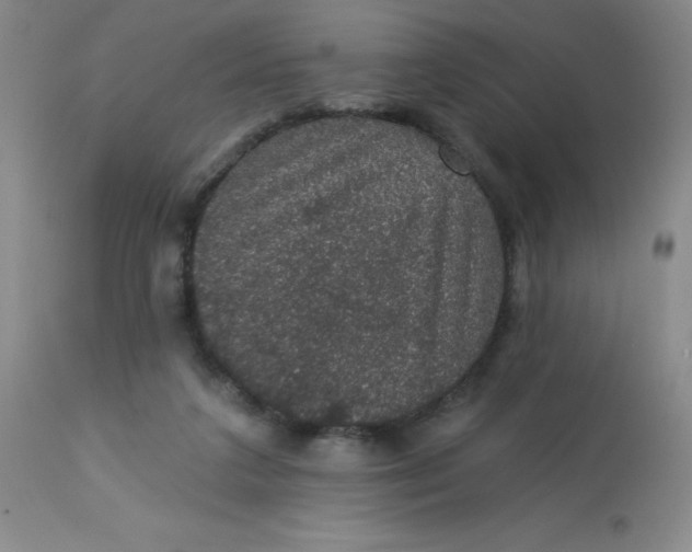 X0000113630211200910091603