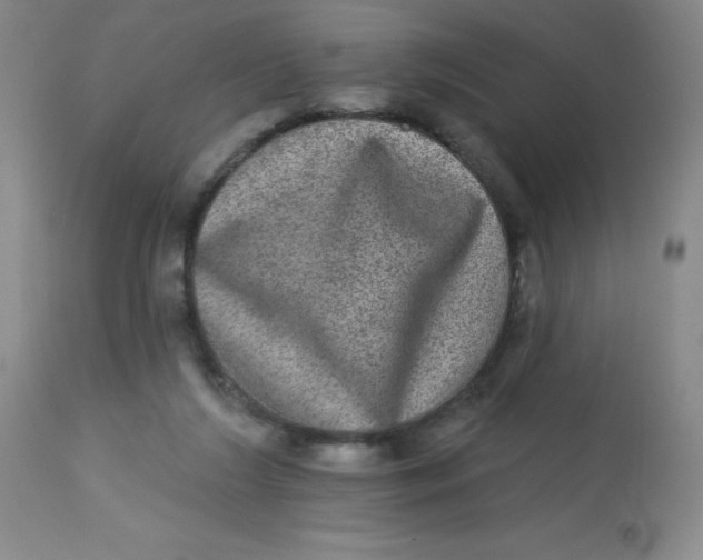 X0000113630212200910091603