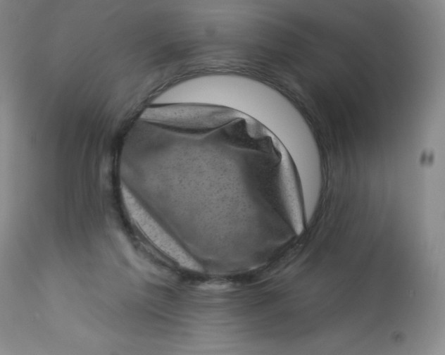 X0000113630213200910091603