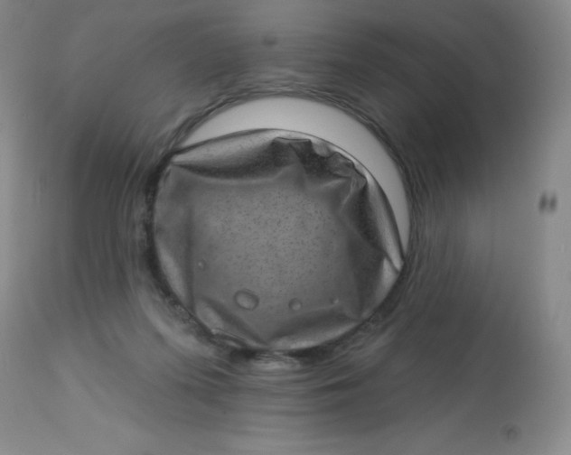 X0000113630215200910091603