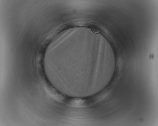 X0000113630217200910091603