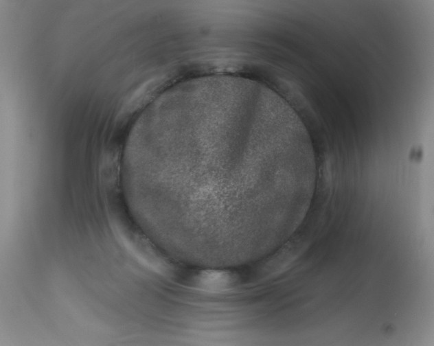 X0000113630218200910091603