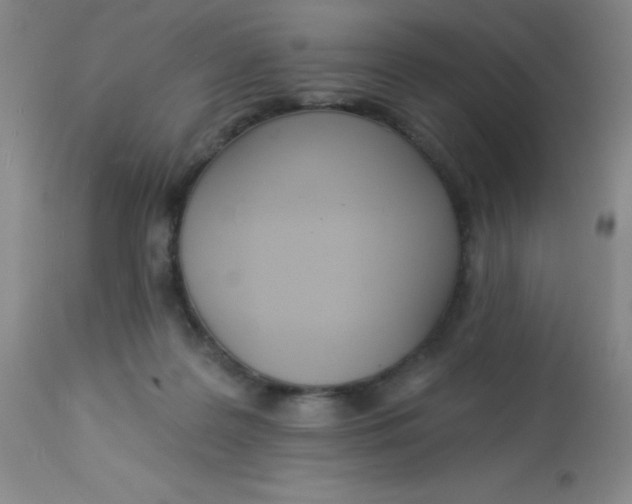 X0000113630219200910091603