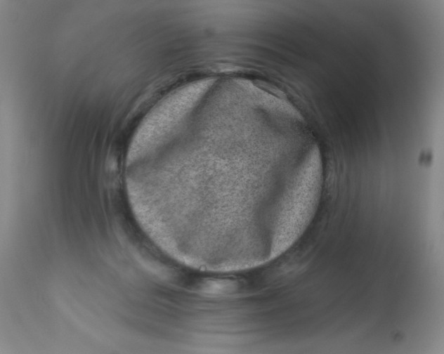 X0000113630220200910091603