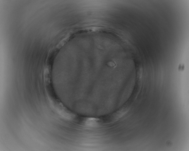 X0000113630222200910091603