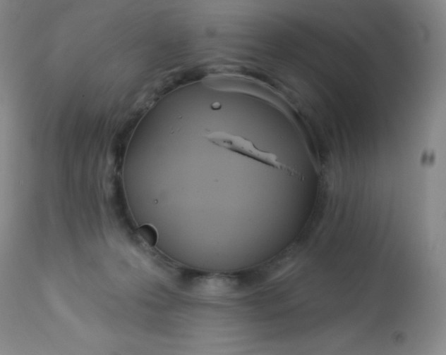 X0000113630223200910091603