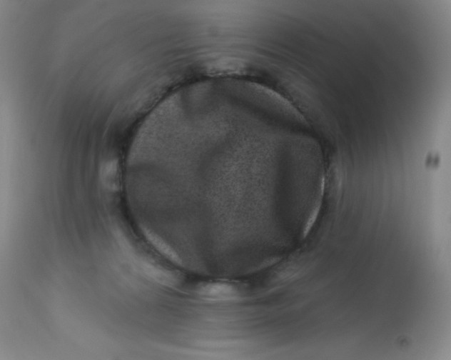 X0000113630224200910091603