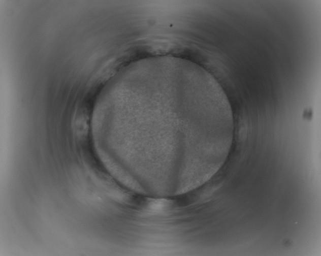 X0000113630226200910091603