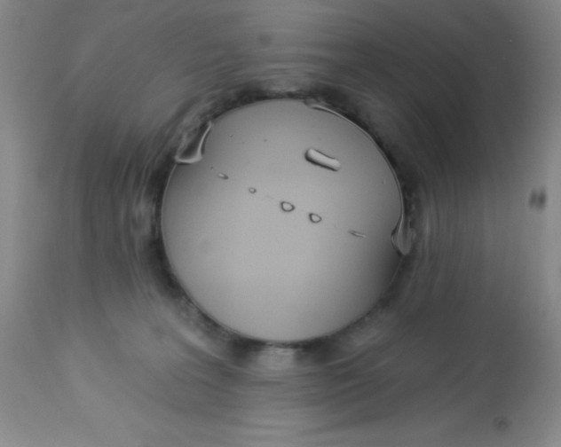 X0000113630227200910091603