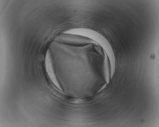 X0000113630229200910091603