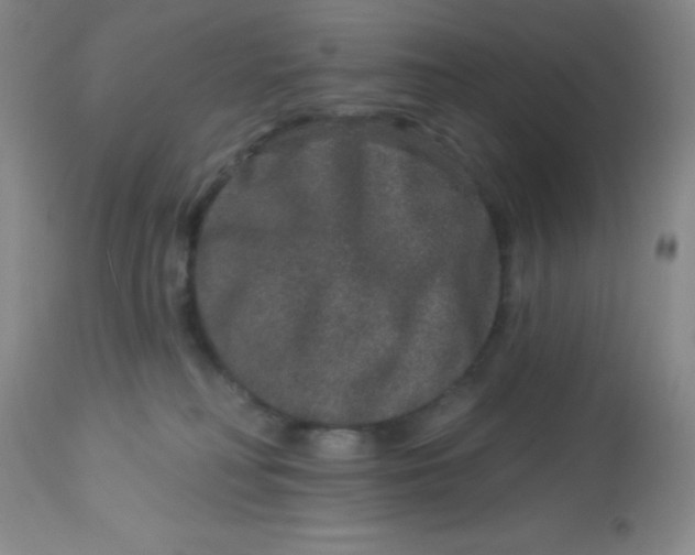 X0000113630230200910091603