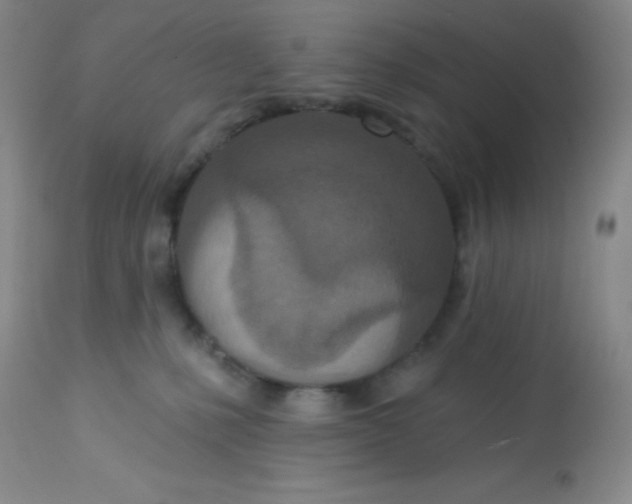 X0000113630231200910091603