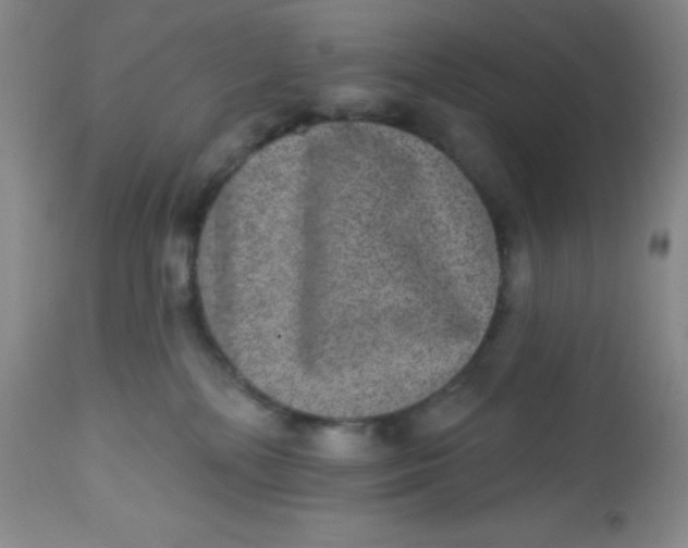 X0000113630232200910091603