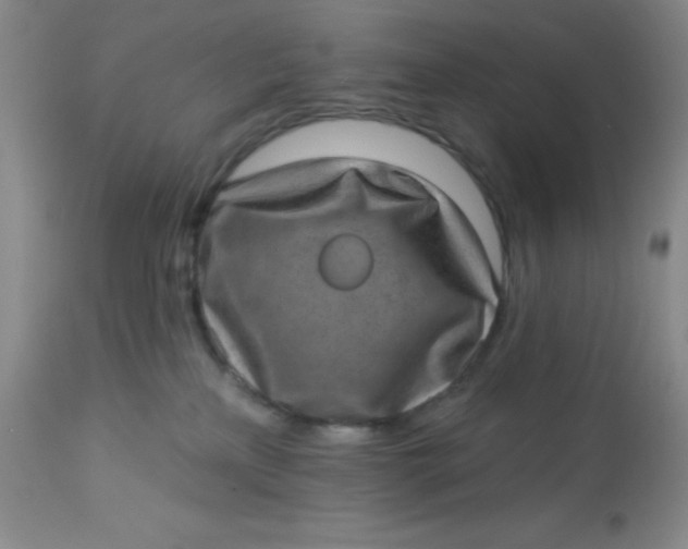 X0000113630233200910091603