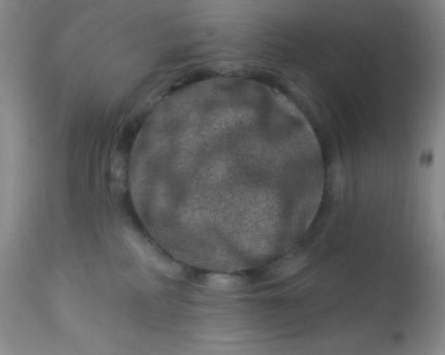 X0000113630234200910091603