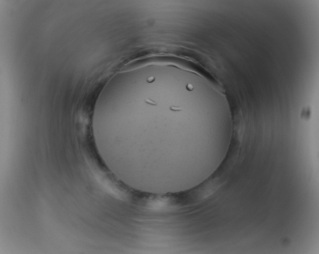 X0000113630235200910091603