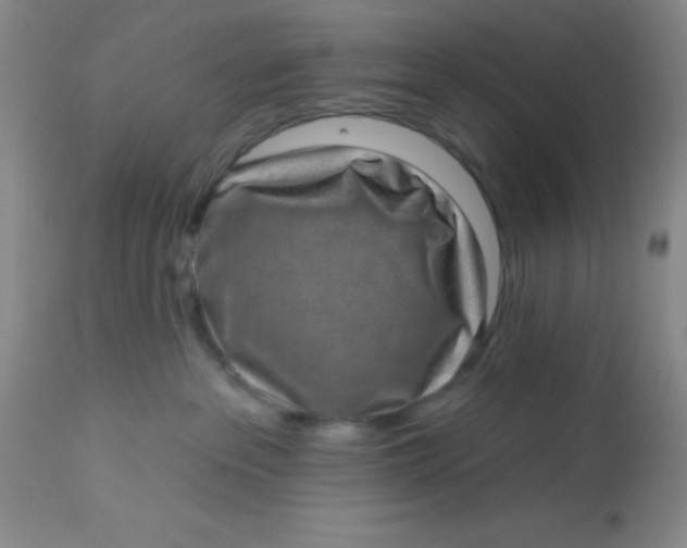 X0000113630237200910091603