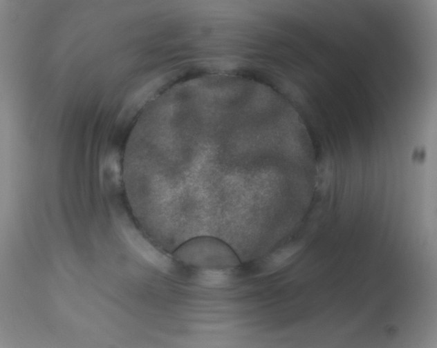 X0000113630238200910091603