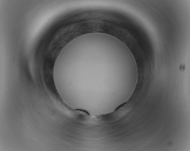 X0000113630239200910091603