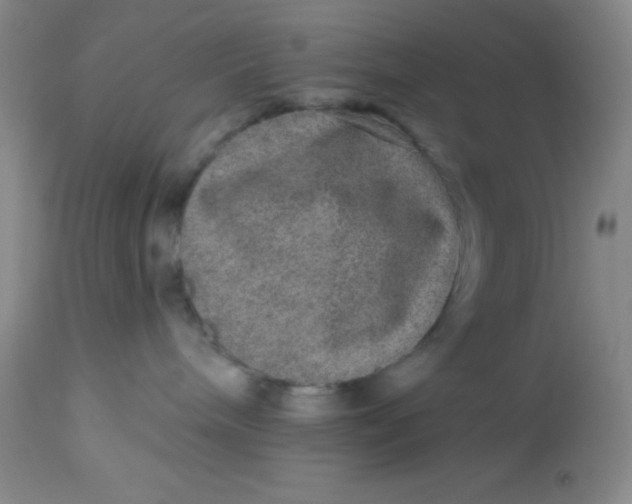 X0000113630240200910091603