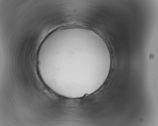 X0000113630241200910091602