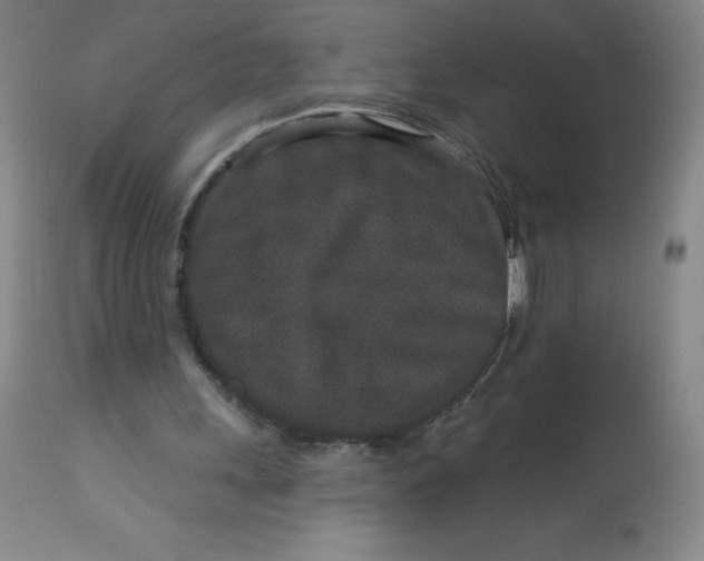 X0000113630243200910091602