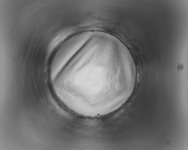 X0000113630245200910091602