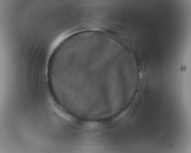 X0000113630246200910091602